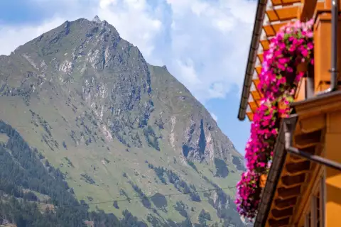 13 Ferienhaus Sonnenhang Balkon Blumen
